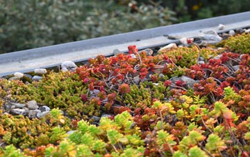the cost of Kestle green roof installation