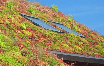 Kestle living roof systems